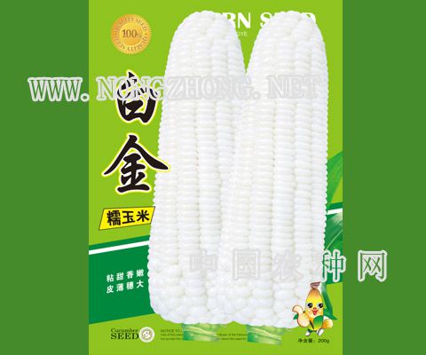 白金